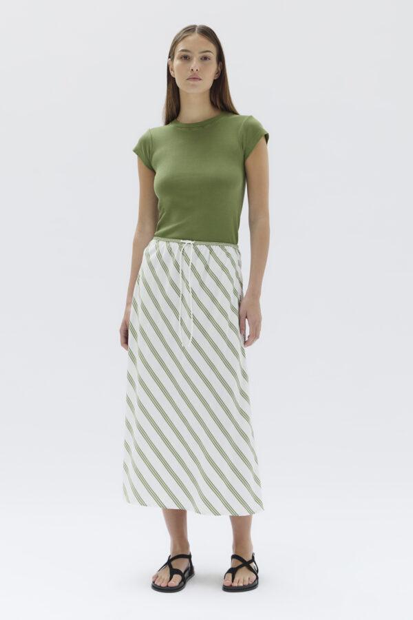 Assembly Label - Isola Stripe Skirt